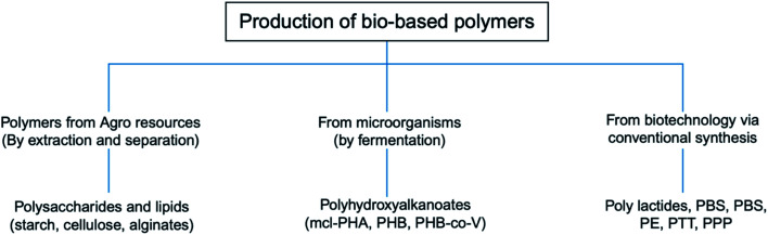 Fig. 13