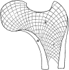 Fig. 2