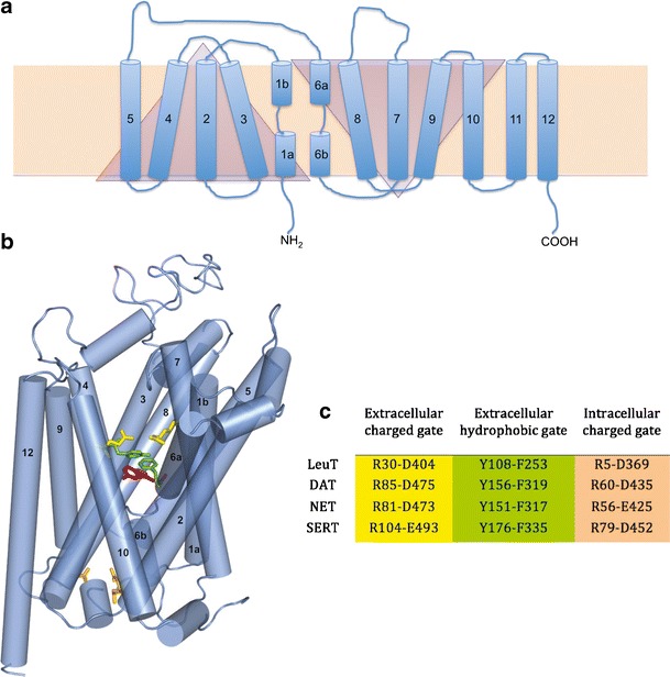 Fig. 1