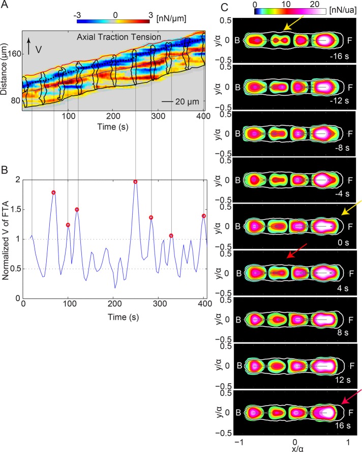 FIGURE 5: