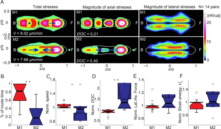 FIGURE 3: