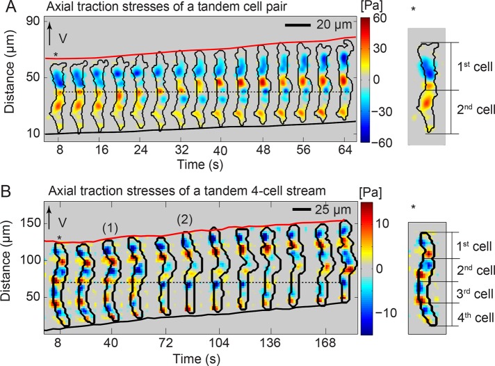 FIGURE 6: