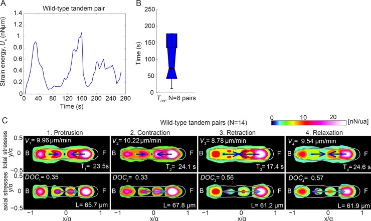 FIGURE 4: