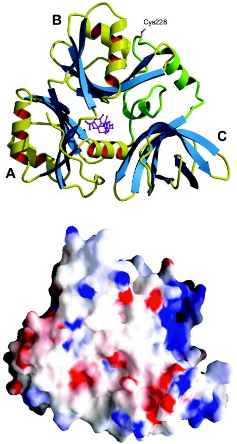 FIG. 2.