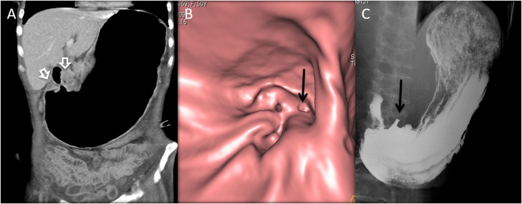 Figure 4.