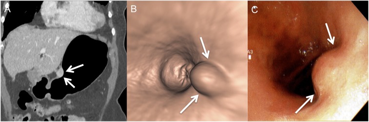 Figure 7.
