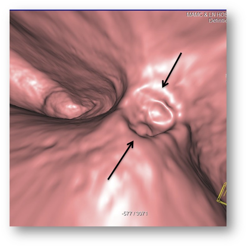 Figure 3.