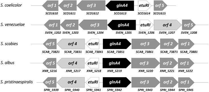 FIG 2