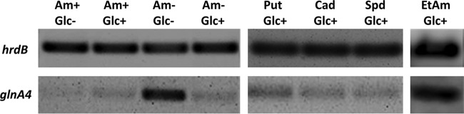 FIG 6