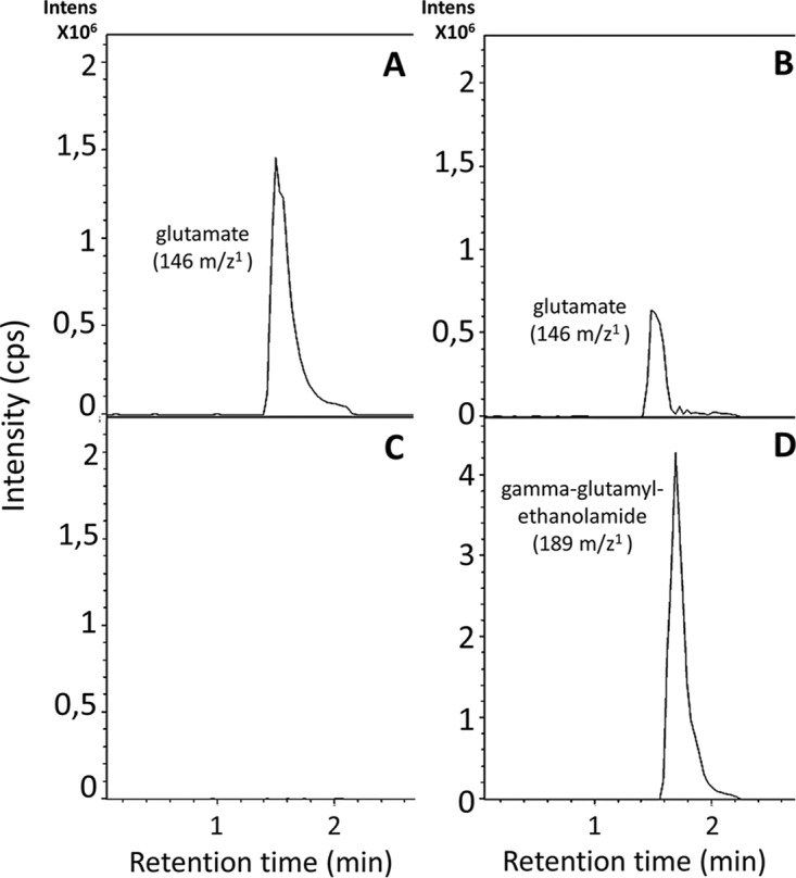 FIG 7