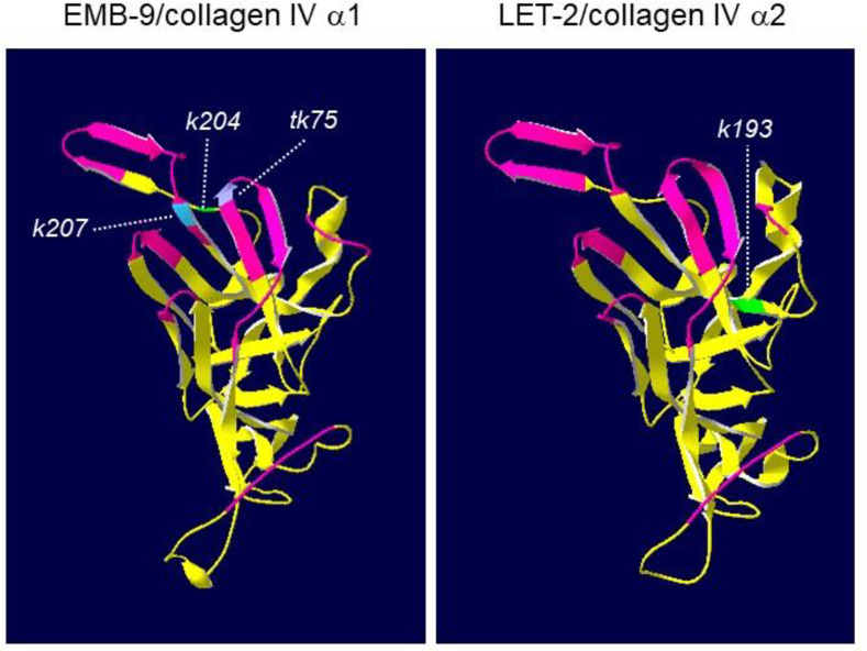 Fig 7