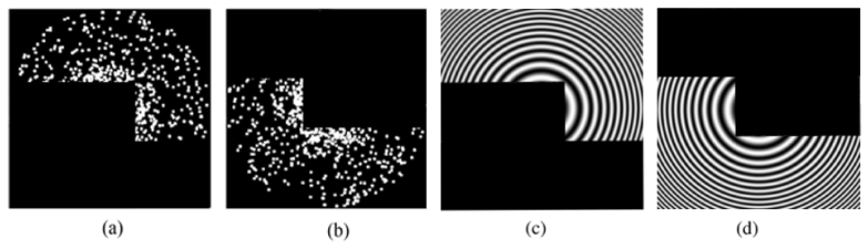 Fig. 10