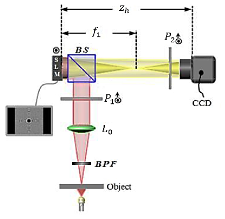 Fig. 6