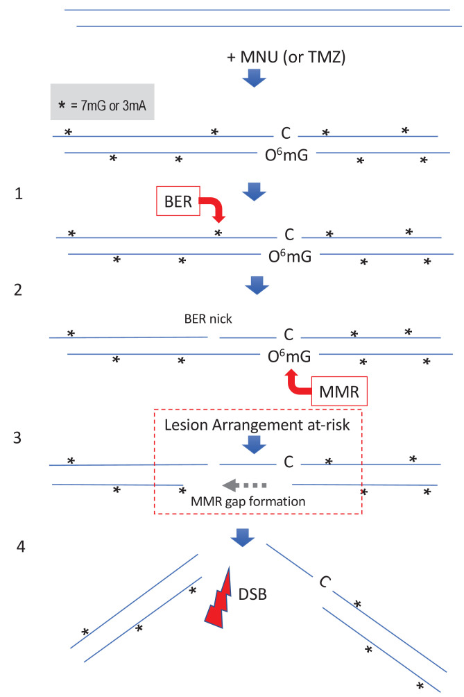 Figure 5.