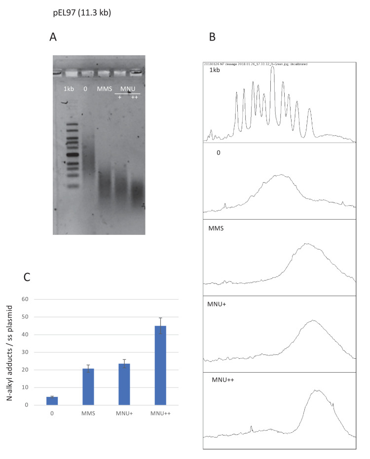 Figure 4—figure supplement 1.