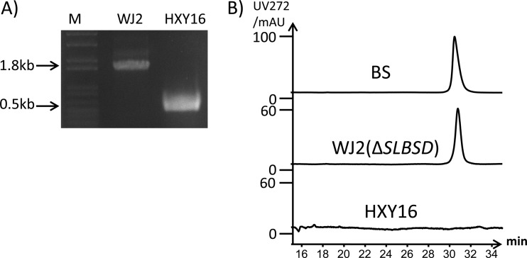 Fig 5