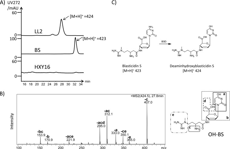 Fig 3