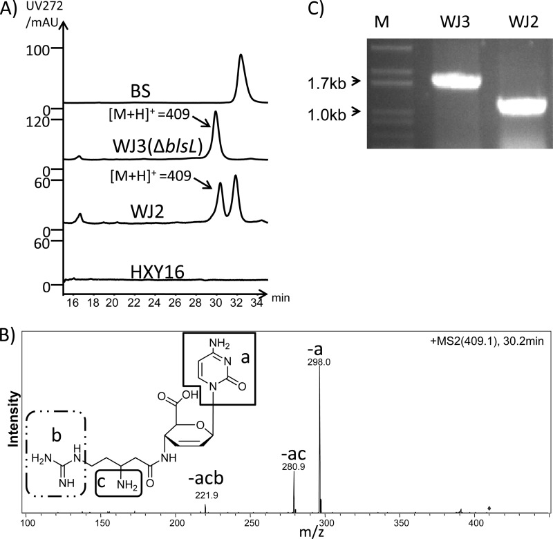 Fig 6