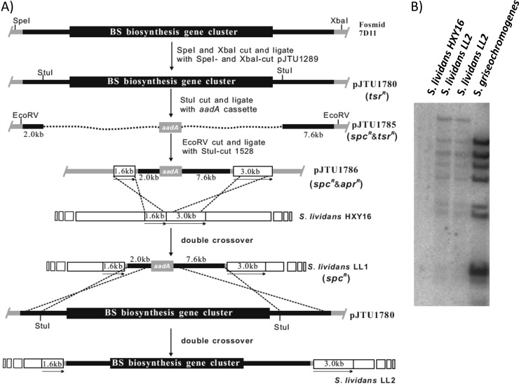 Fig 2