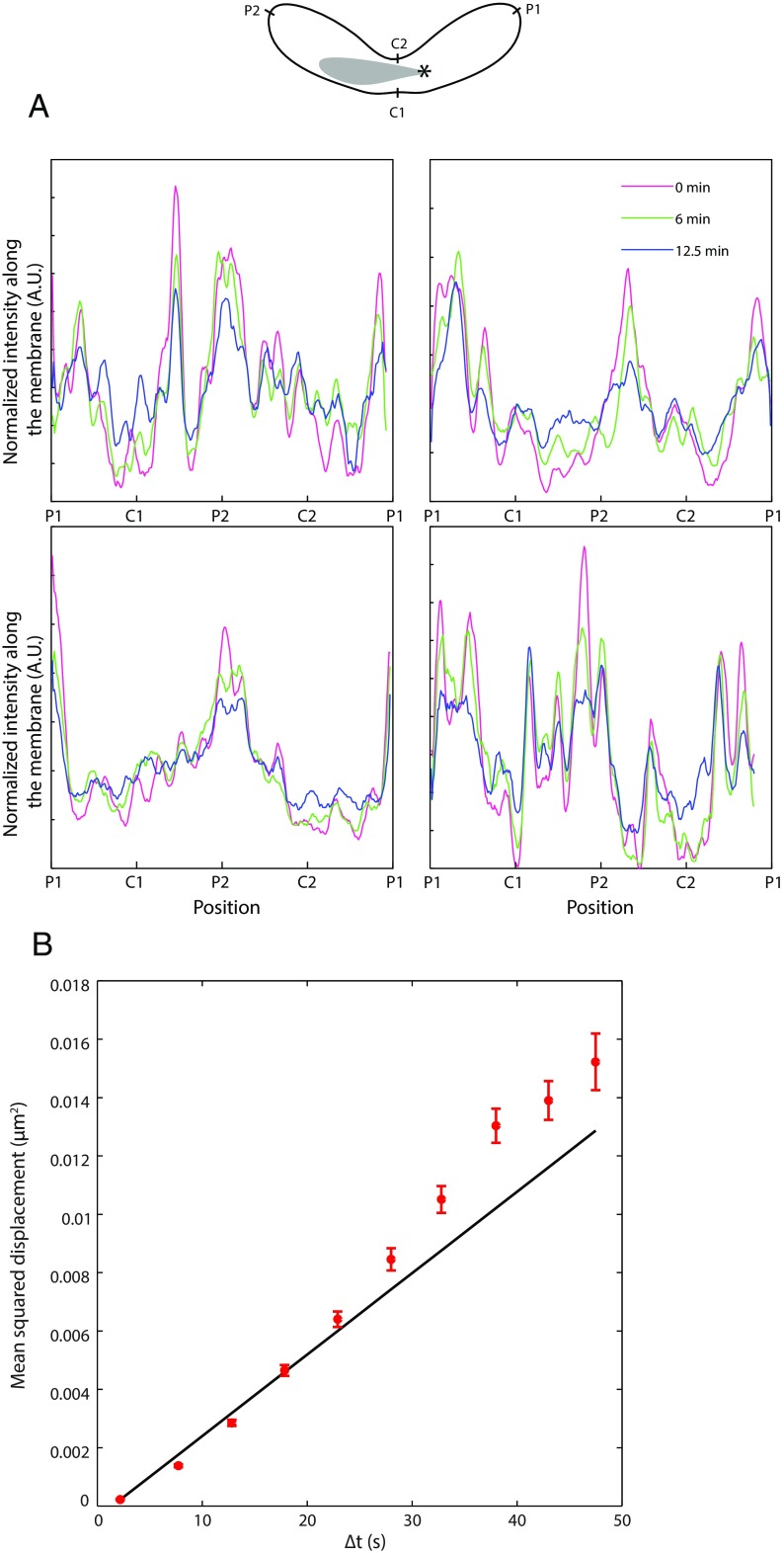 Fig. S1.