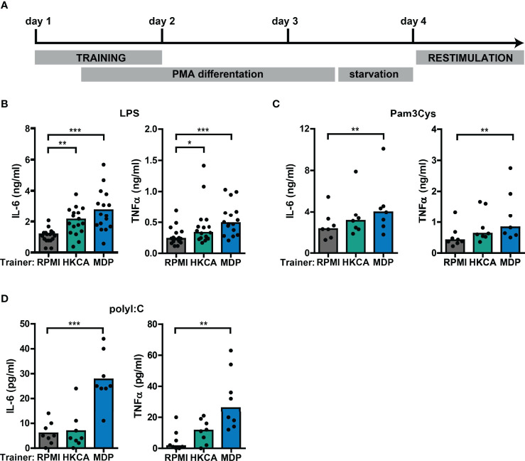 Figure 2