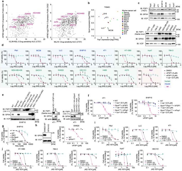 Extended Data Fig. 6