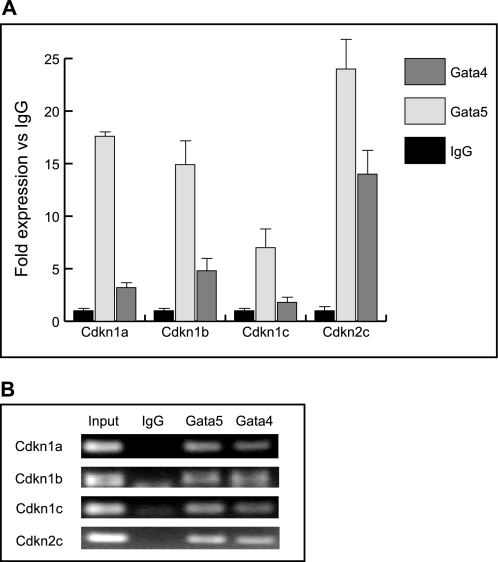 FIGURE 7.