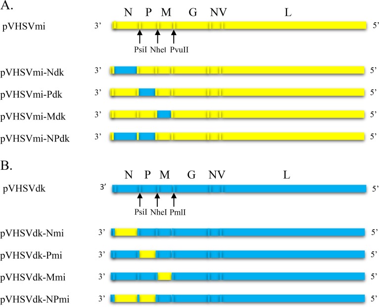 FIG 1