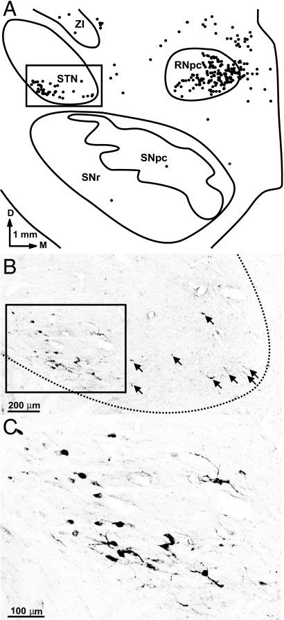 Fig. 3.