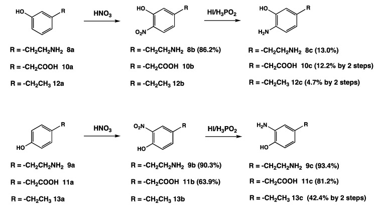 Scheme 3