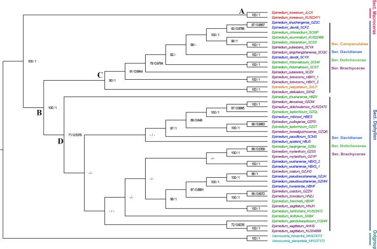 Fig. 2