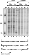 Fig 7