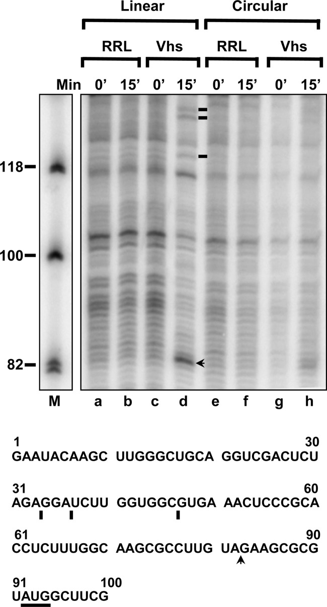 Fig 7