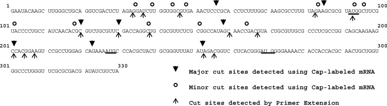 Fig 5