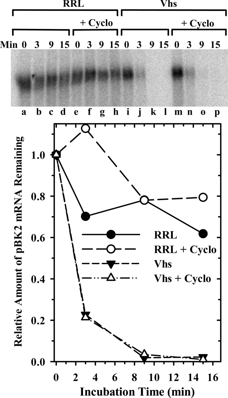 Fig 12