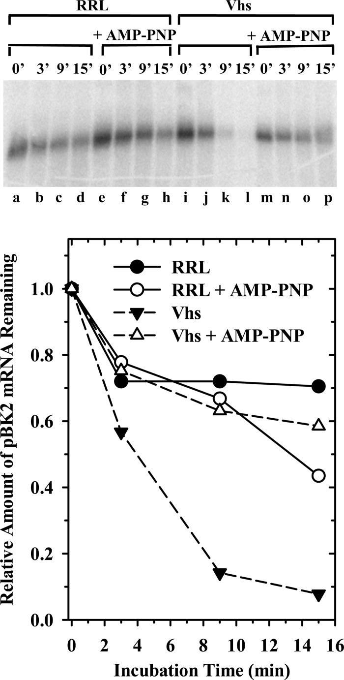 Fig 11