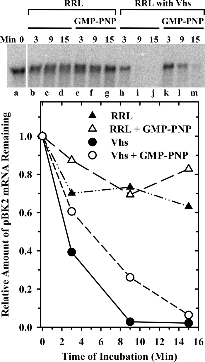 Fig 13