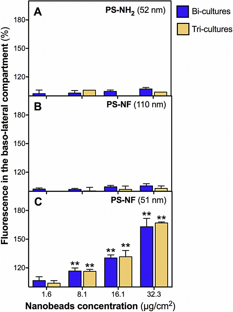 Fig. 10