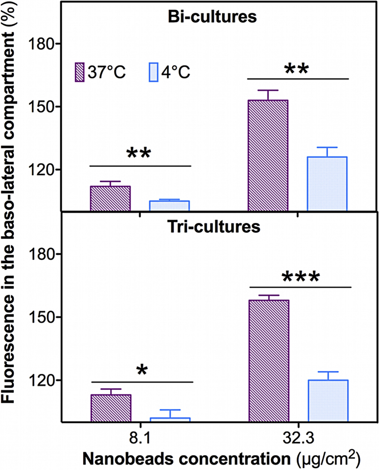 Fig. 11