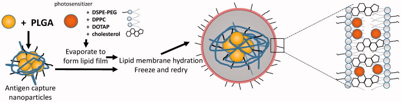 Figure 3.