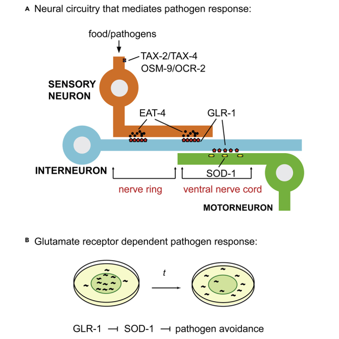 graphic file with name fx1.jpg