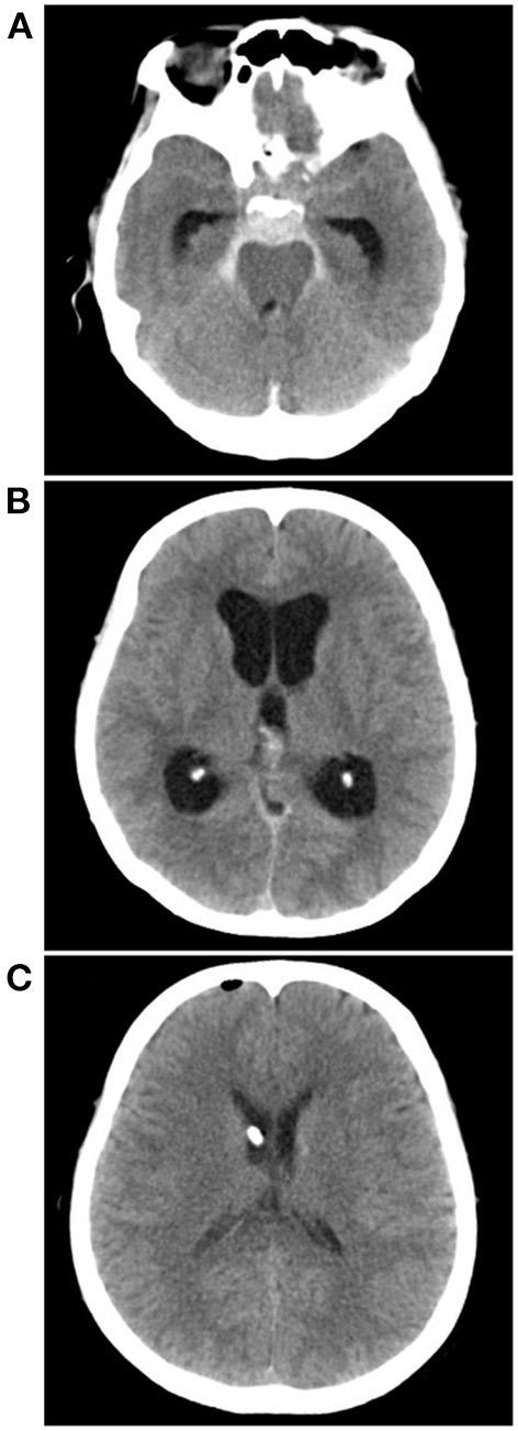 Figure 7