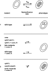 Figure 9.