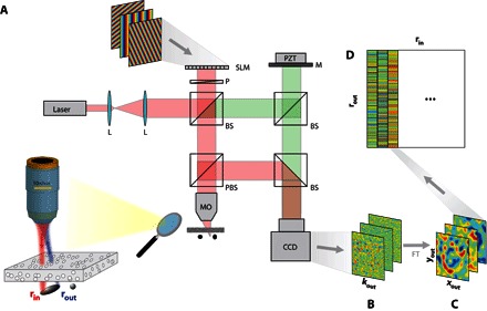 Fig. 1