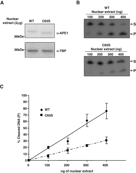 FIGURE 3: