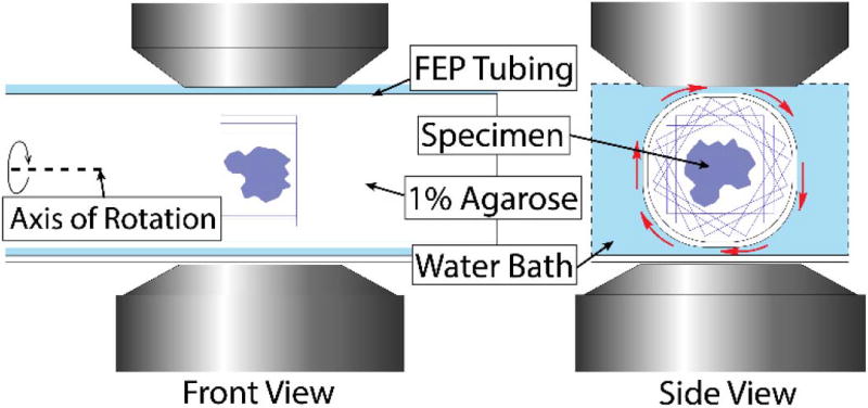 Fig. 3