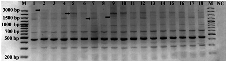 Figure 2.