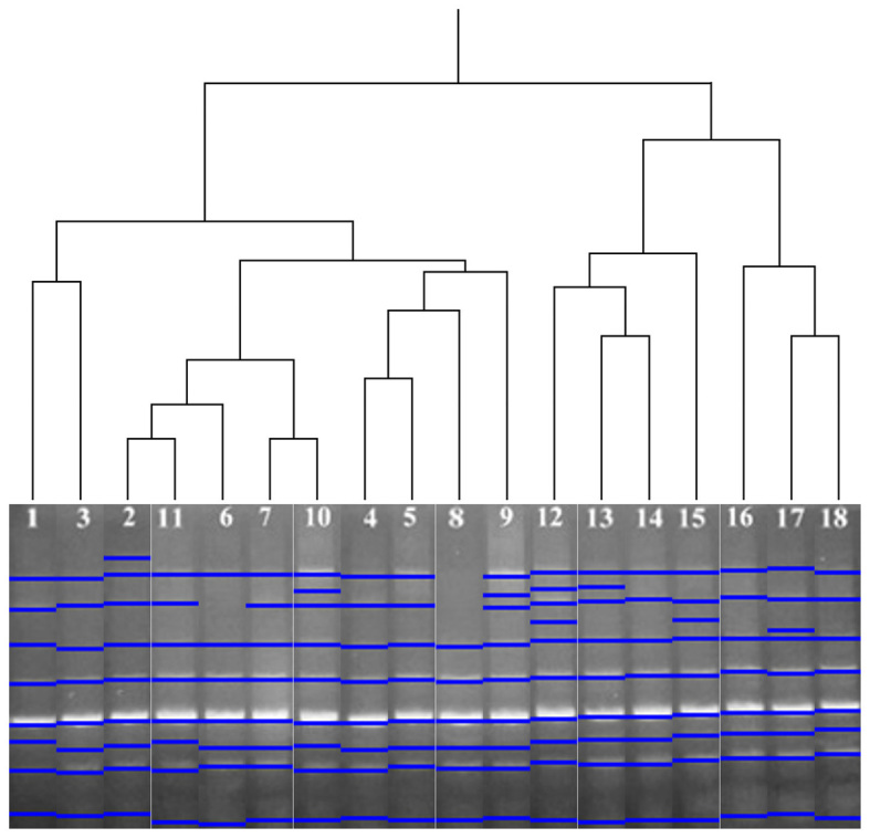 Figure 4.