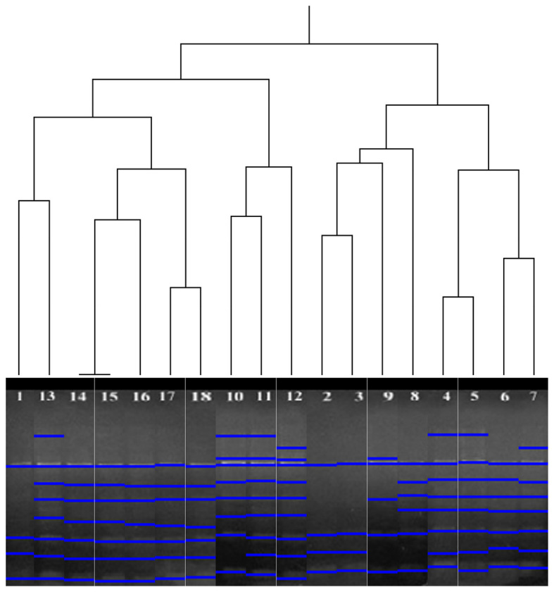 Figure 3.