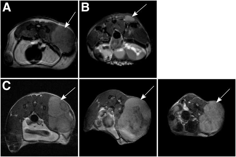 FIGURE 2.